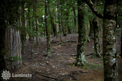 Lunasa 2021 by Jeffrey Packard